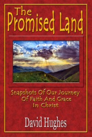 Book's Cover of The Promised Land: Snapshots Of Our Journey Of Faith And Grace In Christ