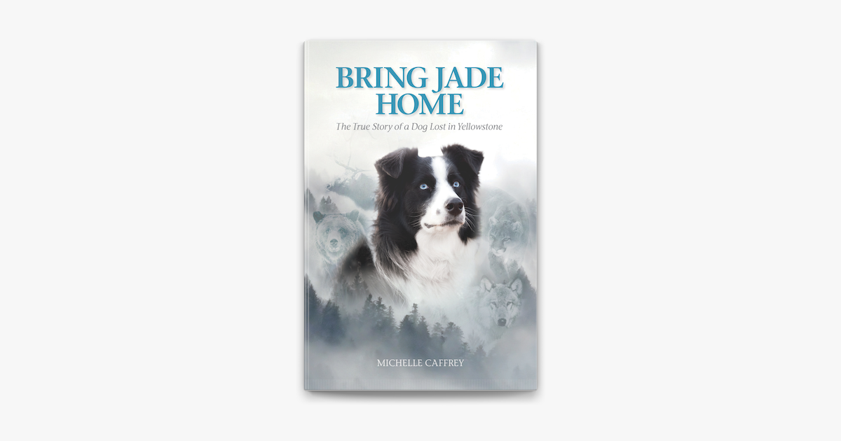 ‎Bring Jade Home on Apple Books