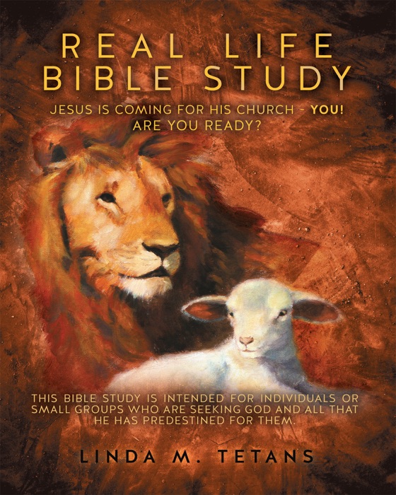 Real Life Bible Study