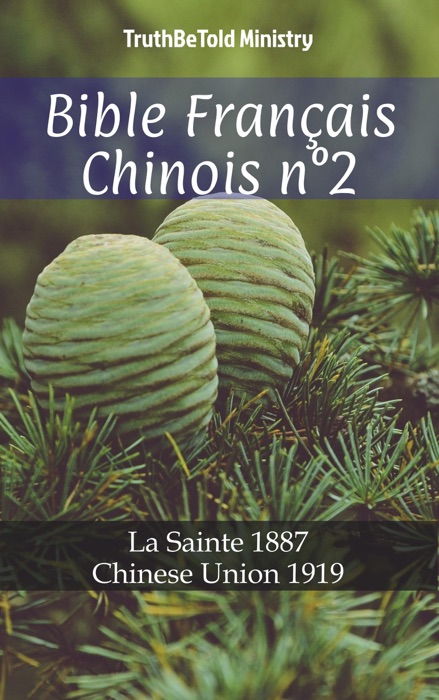 Bible Français Chinois n°2