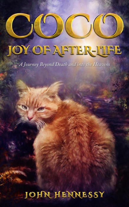 Coco: Joy of After-Life (A Journey Beyond Death and into the Heavens)