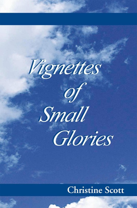 Vignettes Of Small Glories