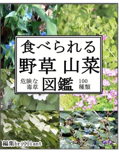 食べられる野草山菜図鑑