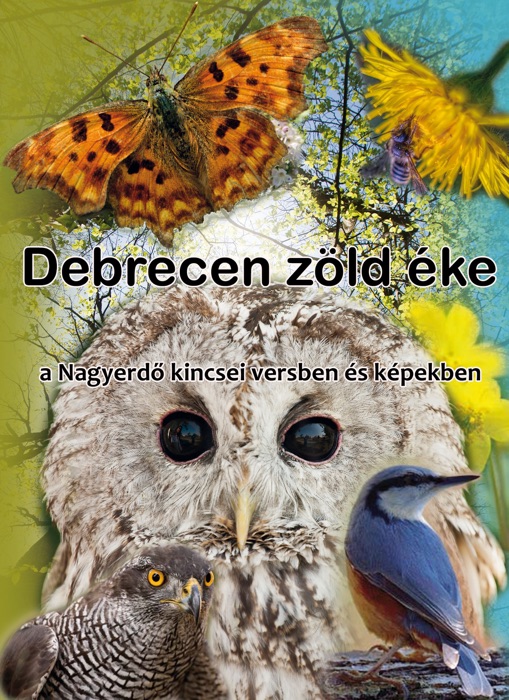 Debrecen zöld éke (The Great Forest)