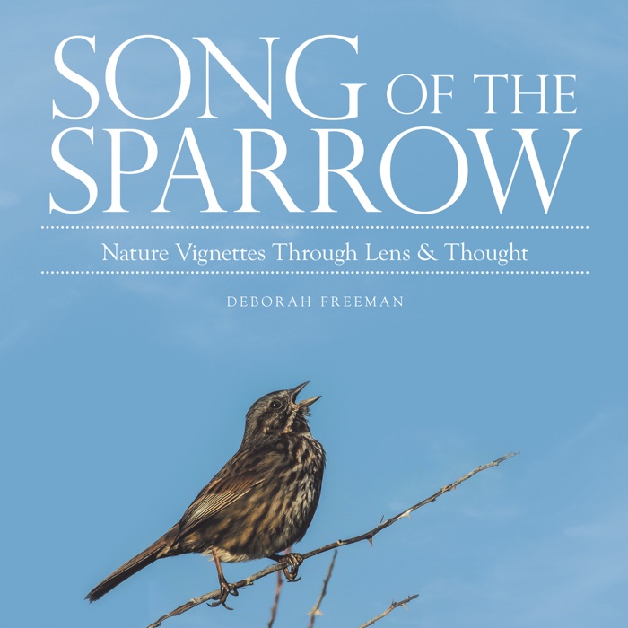 Song of the Sparrow