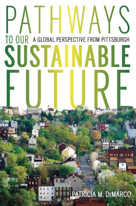 Pathways to Our Sustainable Future