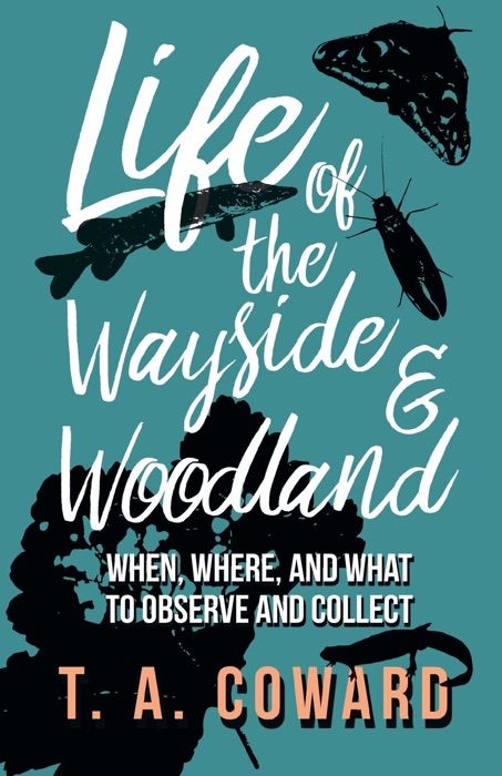 Life of the Wayside and Woodland - When, Where, and What to Observe and Collect