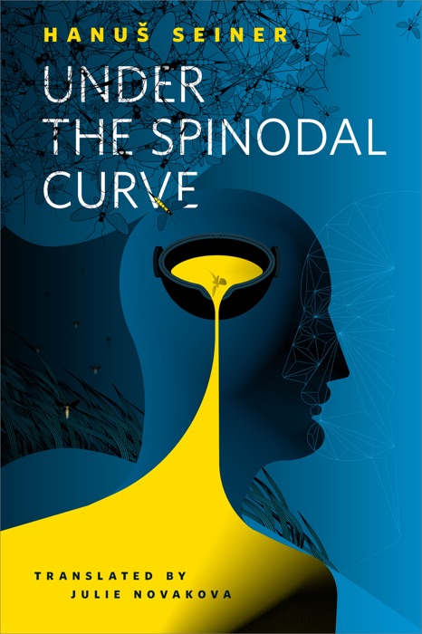 Under the Spinodal Curve