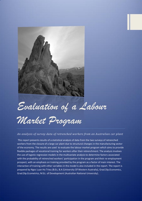 Evaluation Of A Labour Market Program