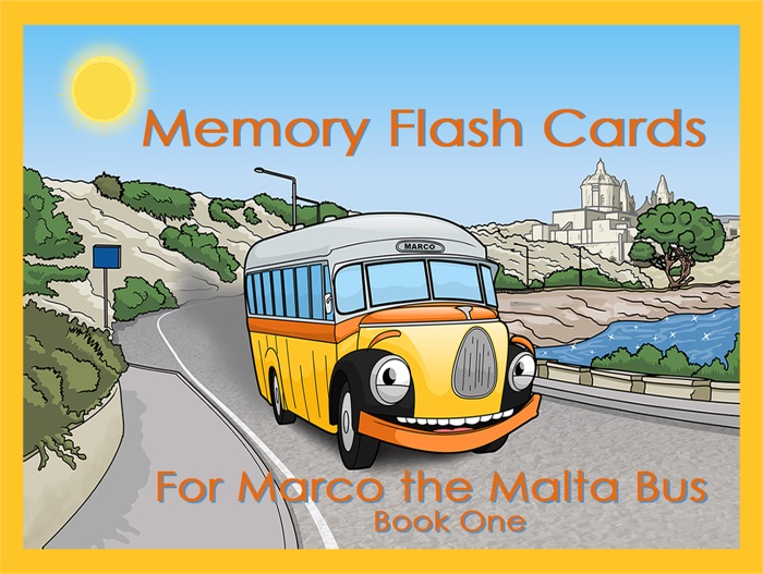 Memory Flash Cards