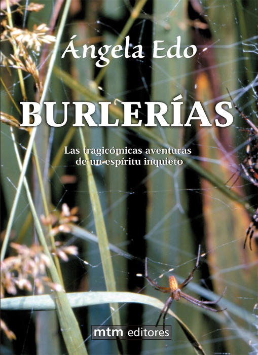 Burlerías