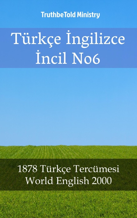 Türkçe İngilizce İncil No6