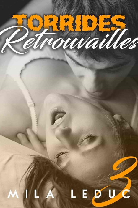 Torrides Retrouvailles (TOME 3)