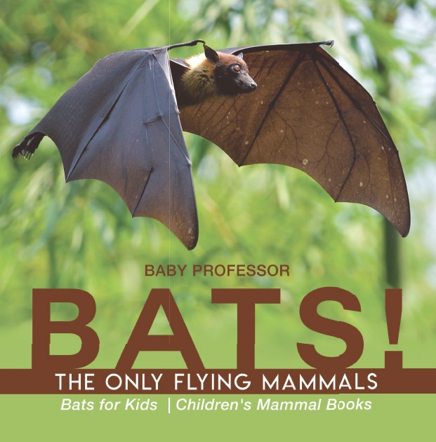 BATS! The Only Flying Mammals  Bats for Kids   Children's Mammal Books