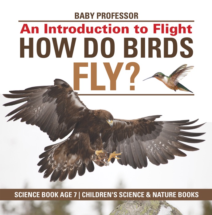 How Do Birds Fly? An Introduction to Flight - Science Book Age 7  Children's Science & Nature Books