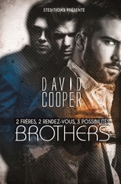 Brother Livre gay, roman gay
