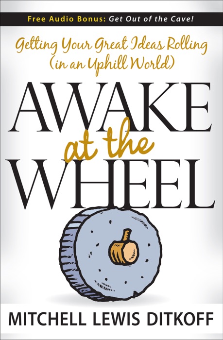 Awake at the Wheel