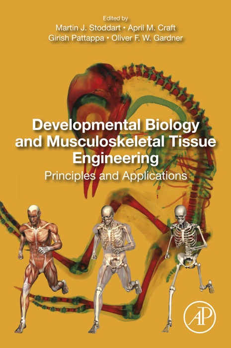 Developmental Biology and Musculoskeletal Tissue Engineering