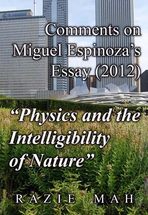 Comments on Miguel Espinoza's Essay (2012) 