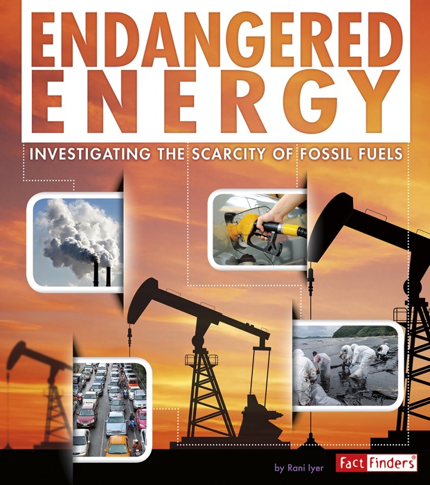 Endangered Energy