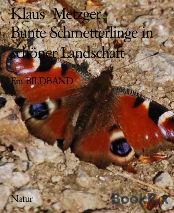 Bunte Schmetterlinge in schöner Landschaft