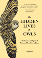 Leigh Calvez - The Hidden Lives of Owls artwork