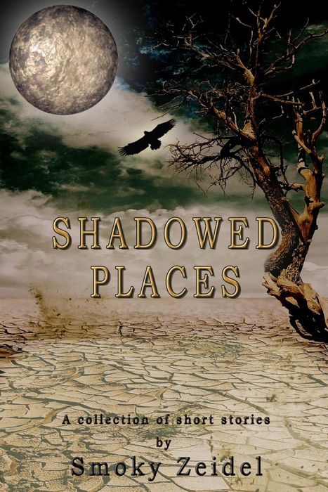 Shadowed Places:  A collection of short stories