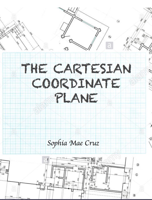 The Cartesian Coordinate Plane