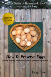 How To Preserve Eggs: Freezing, Pickling, Dehydrating, Larding, Water Glassing, & More