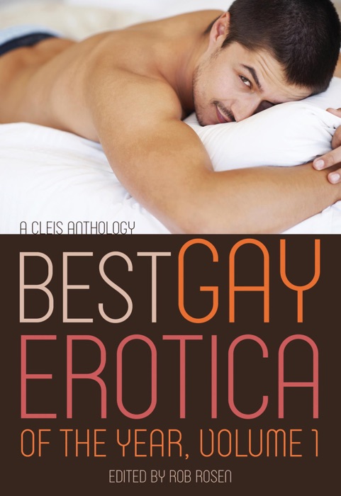 Best Gay Erotica of the Year