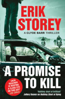 Erik Storey - A Promise to Kill artwork