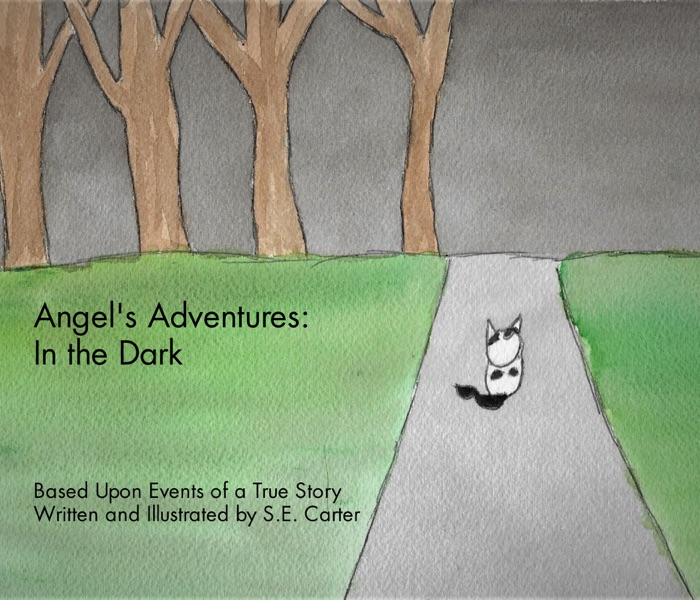 Angel's Adventures: In the Dark