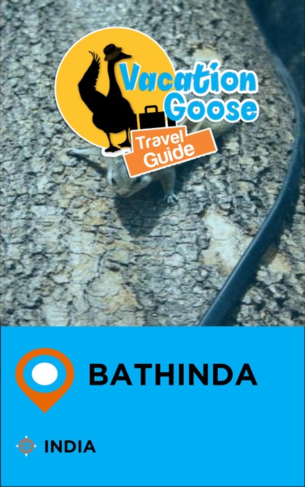 Vacation Goose Travel Guide Bathinda India