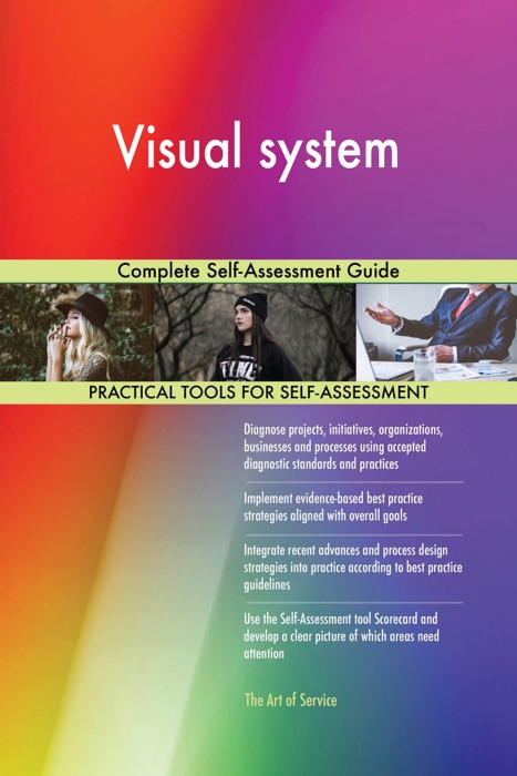 Visual system Complete Self-Assessment Guide
