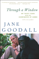 Jane Goodall - Through a Window artwork