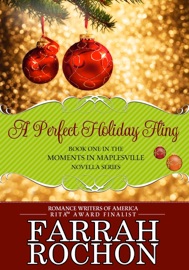 A Perfect Holiday Fling