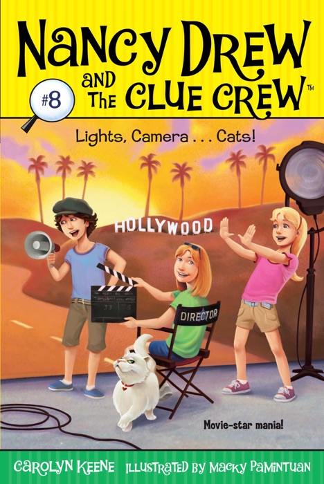 Lights, Camera . . . Cats!