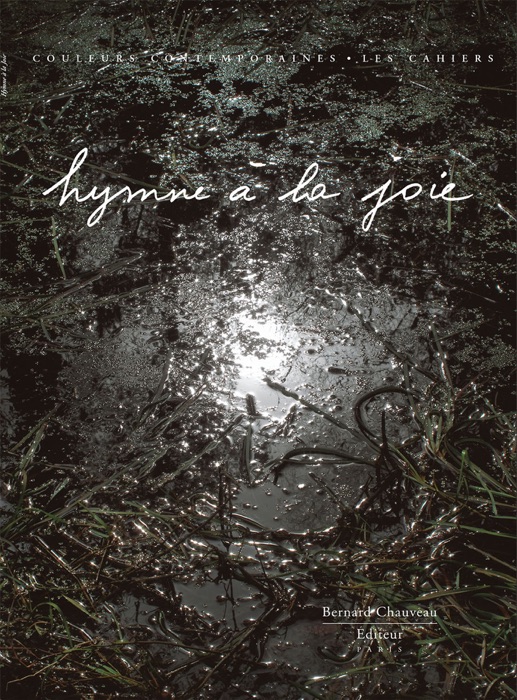 Claude Lévêque - Hymne à la joie