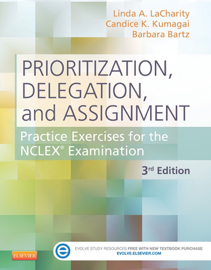 Prioritization, Delegation, and Assignment - E-Book