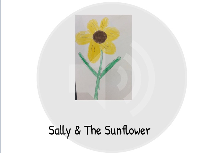 Sally and The Sunflower