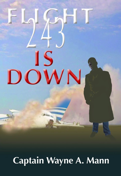 Flight 243 Is Down
