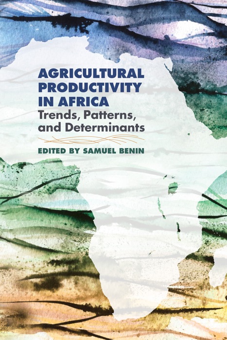 Agricultural Productivity in Africa