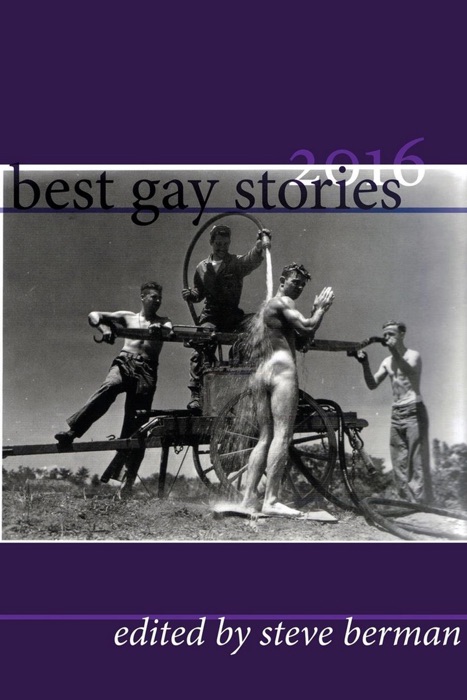 Best Gay Stories 2016