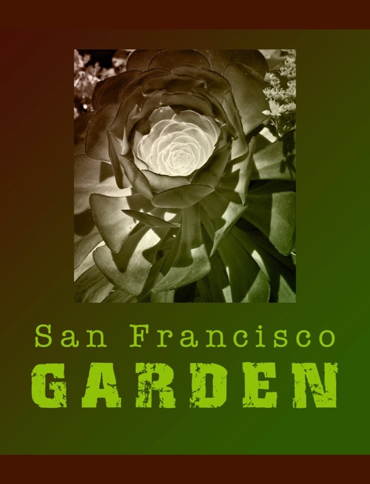 San Francisco Garden