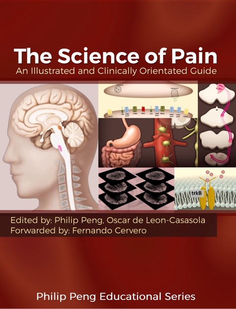 pain science infographic