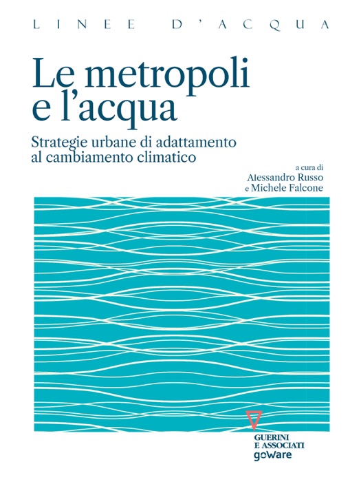 Le metropoli e l'acqua