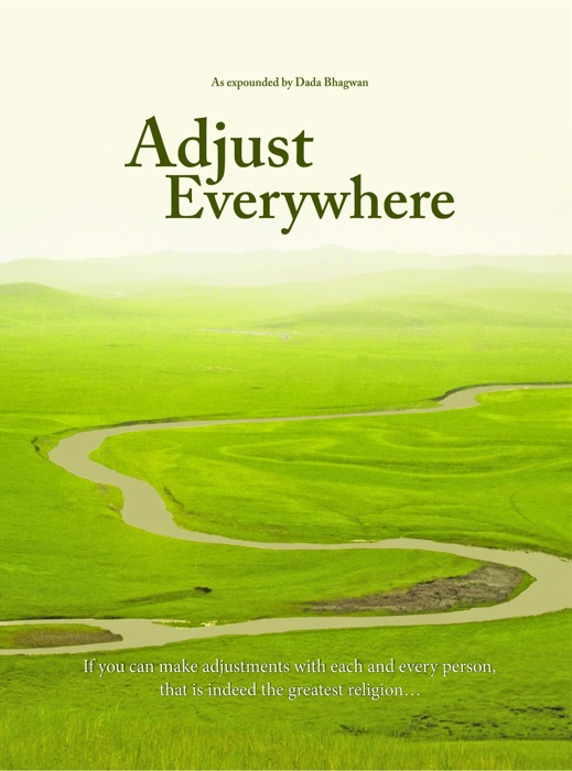 Adjust Everywhere (In English)