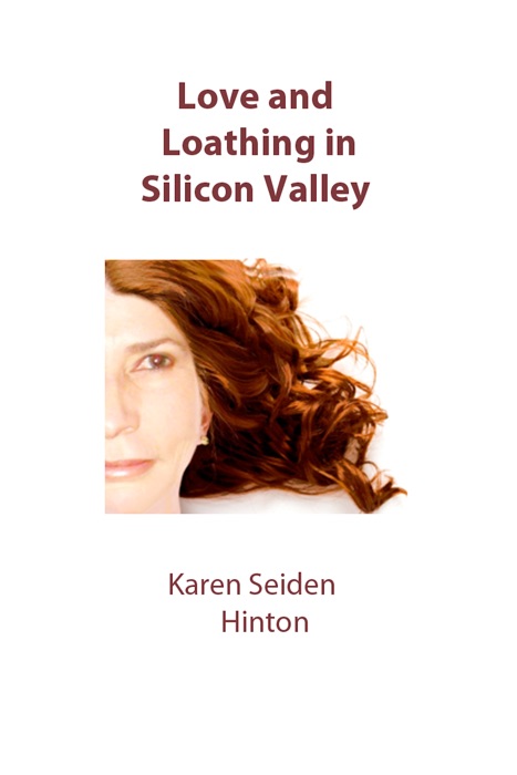 Love and Loathing in Silicon Valley