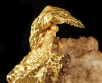 The Big Data Gold Rush
