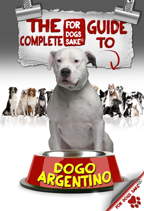 The Complete Guide to Dogo Angentinos